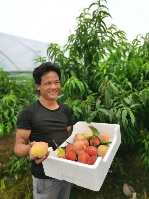 吃瓜现场第一位网红是谁,揭秘第一位网红的诞生之谜  第2张